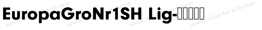 EuropaGroNr1SH Lig字体转换